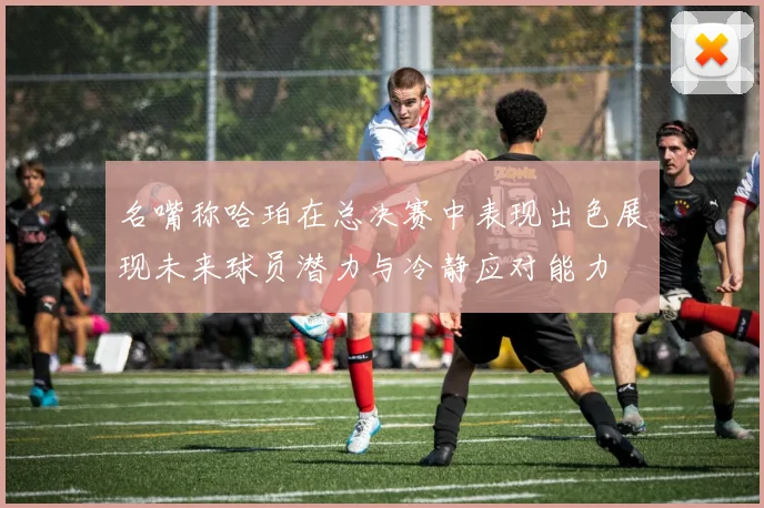名嘴称哈珀在总决赛中表现出色展现未来球员潜力与冷静应对能力